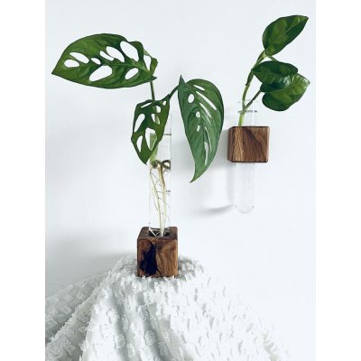 BotaneryLab DUO SYSTEM Sada na zakořenění z dubového dřeva - 2 ks WoodenBotanery – Hledejceny.cz