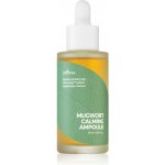 Isntree Mugwort Calming ampule 50 ml – Hledejceny.cz