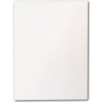 Prokop's Malířské plátno formát 30 x 50 cm – Zboží Mobilmania