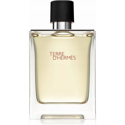 Hermès Terre D'Hermès toaletní voda pánská 100 ml tester – Sleviste.cz