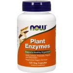 Now Foods Plant Enzymes rostlinné enzymy 120 kapslí – Hledejceny.cz