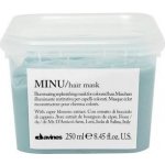 Davines Minu Hair Mask 250 ml – Zbozi.Blesk.cz