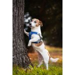 Vsepropejska Rigby prodyšné kšíry pro psa – Zboží Dáma