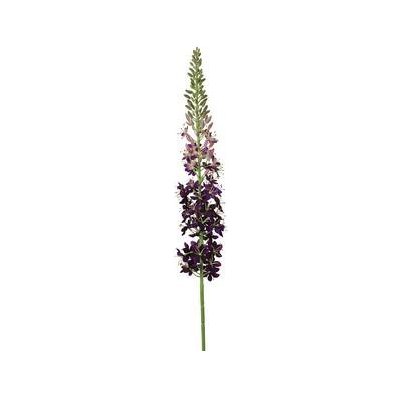 Umělá květina fialová Liliochvostec105cm