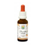 Salvia Paradise Boswellia serrata Kadidlovník AF tinktura 30 ml – Hledejceny.cz
