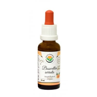 Salvia Paradise Boswellia serrata Kadidlovník AF tinktura 30 ml – Hledejceny.cz