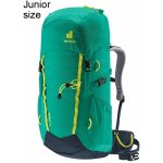 Deuter Climber 22l fern/ink – Zboží Mobilmania