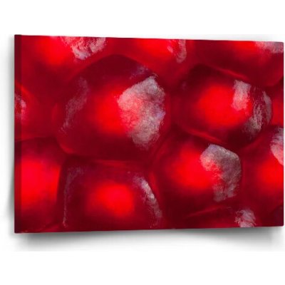 Sablio Obraz Granátové jablko - 60x40 cm – Hledejceny.cz