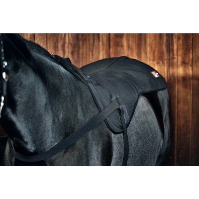 Catago Prohřívací deka zad FIR Tech – Hledejceny.cz