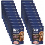 Brit Premium by Nature Dog Puppy & Junior Fillets in Gravy with Turkey & Carrots 85 g – Zboží Mobilmania