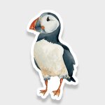 ePipí Samolepka Papuchalk – Zboží Dáma