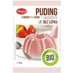 Amylon puding jahodový s kousky ovoce Bio 40 g – Hledejceny.cz