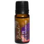 Natasha Směs esenciálních olejů BIO Sladké sny 10 ml – Hledejceny.cz