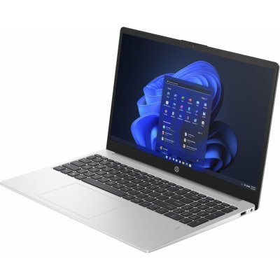 HP 250 G10 859P3EA – Zboží Živě