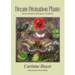 Dream Divination Plants: In Northwestern European Traditions Boyer CorinnePaperback – Hledejceny.cz