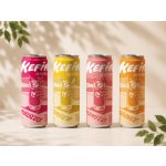 Kefir Eau Vertueuse Výrazná čtyřka bio vodních kefírů 4 × 250 ml – Zboží Dáma