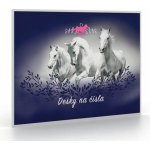 Desky na číslice Koně – Hledejceny.cz