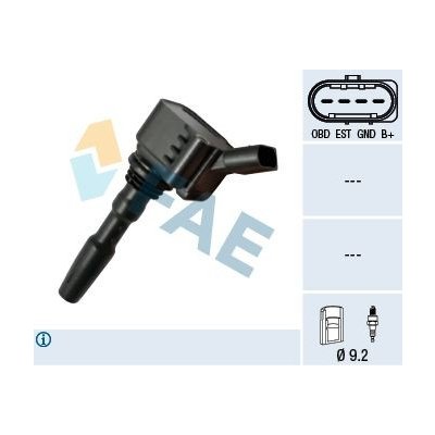Zapalovací cívka FAE 80249 – Hledejceny.cz