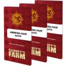Barney's Farm Amnesia Haze Auto semena neobsahují THC 3 ks