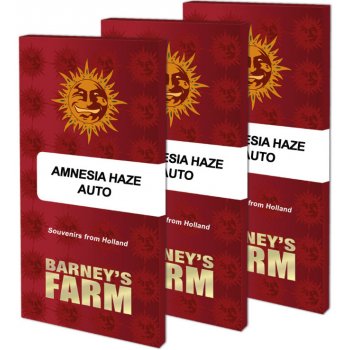 Barney's Farm Amnesia Haze Auto semena neobsahují THC 3 ks