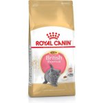 Royal Canin British Shorthair Kitten Kotě Drůbež Rýže Zeleninová 2 kg – Hledejceny.cz