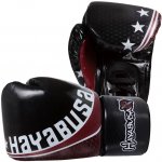 Hayabusa Premium Muay Thai – Zboží Mobilmania