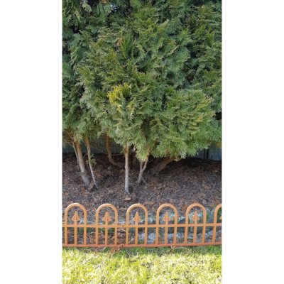 Bj plastik Zahradní plůtek, plast - imitace kovaný plot 2,3 m terakota