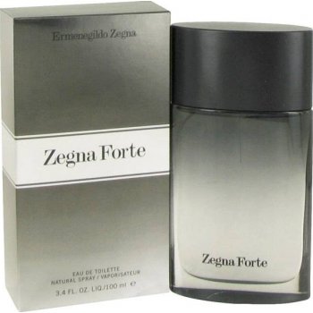 Ermenegildo Zegna Forte toaletní voda pánská 100 ml