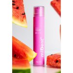 miDent bez cukru Vodní meloun 60g – Hledejceny.cz