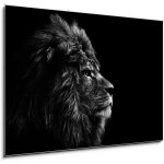 Skleněný obraz 1D - 100 x 70 cm - Stunning facial portrait of male lion on black background in bla Ohromující obličej portrét lva na černém pozadí v bla – Zboží Mobilmania