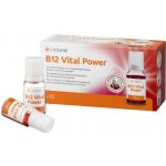 Livsane B12 Životní síla roztok v ampulích 10x10 ml – Hledejceny.cz