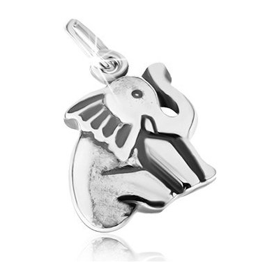 Šperky eshop Sedící slon patinované zářezy stříbro 925 SP25.30