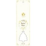 Aröme Difuzér s tyčinkami Magical winter 30 ml – Zboží Dáma