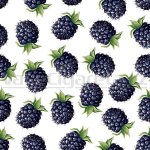 Dekang Classic Blackberry 10 ml 6 mg – Hledejceny.cz
