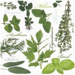 Ubrousky na dekupáž Herbs – Zboží Dáma