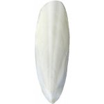 Ω Juko Sépiová kost 15 cm +-3 cm – Hledejceny.cz
