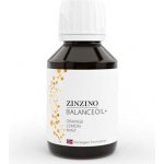 Zinzino BalanceOil+ 100 ml – Hledejceny.cz