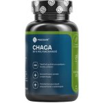 Maxxwin Chaga 60 kapslí – Hledejceny.cz