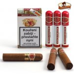 Romeo Y Julieta Wilde Churchil Tubos – Sleviste.cz