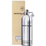 Montale Embruns d'Essaouira parfémovaná voda unisex 100 ml – Hledejceny.cz