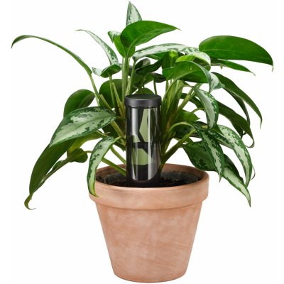 Fiskars Zavlažovací hrot 350ml 1075380 – Zboží Dáma Fiskars Zavlažovací hrot 350ml 1075380 – Zboží Dáma