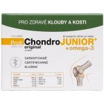 ProfiChondro Original JUNIOR 60 tablet + 60 tablet – Hledejceny.cz