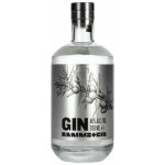 Rammstein GIN 40% 0,7 l (holá láhev) – Sleviste.cz