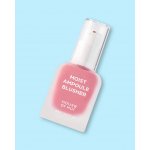House of HUR Tvářenka Moist Ampoule Blusher No,06 Cherry Blossom 20 ml – Zboží Dáma