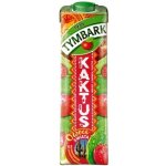 Relax Exotica Kaktus 1 l – Zboží Dáma