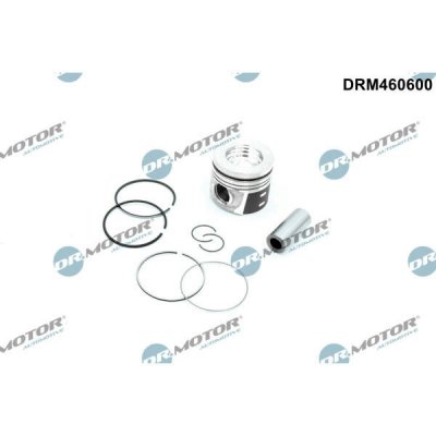 Dr.Motor Automotive DRM460600 – Hledejceny.cz