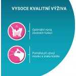 Purina One Junior s lososem a mrkví ve šťávě 26 x 85 g – Sleviste.cz