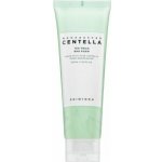 SKIN1004 Madagascar Centella Tea-Trica BHA Foam 125 ml – Hledejceny.cz