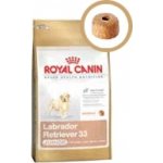 Royal Canin labrador retriever Puppy 24 kg – Hledejceny.cz