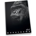 Pigna Školní sešit Monocromo Black A5 linkovaný – Sleviste.cz